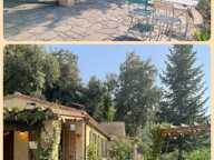 A vendre, Maison en pleine nature à fort potentiel - Haut-Vallespir !  (66) — photo 4
