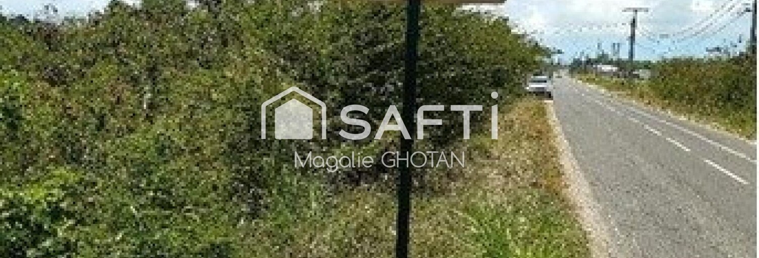 Terrain  1000 m² à vendre à Le Moule (97160)