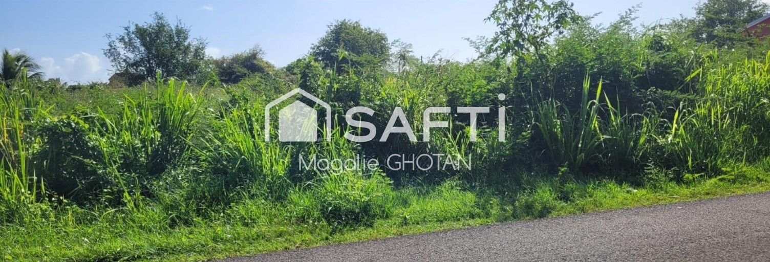 Terrain  1000 m² à vendre à Le Moule (97160)