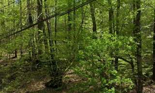 Terrain  4600 m² à vendre à Compreignac (87140)