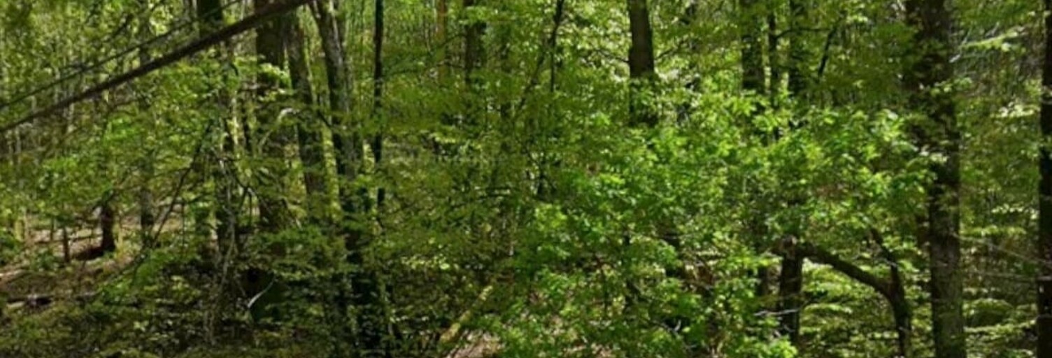 Terrain  4600 m² à vendre à Compreignac (87140)