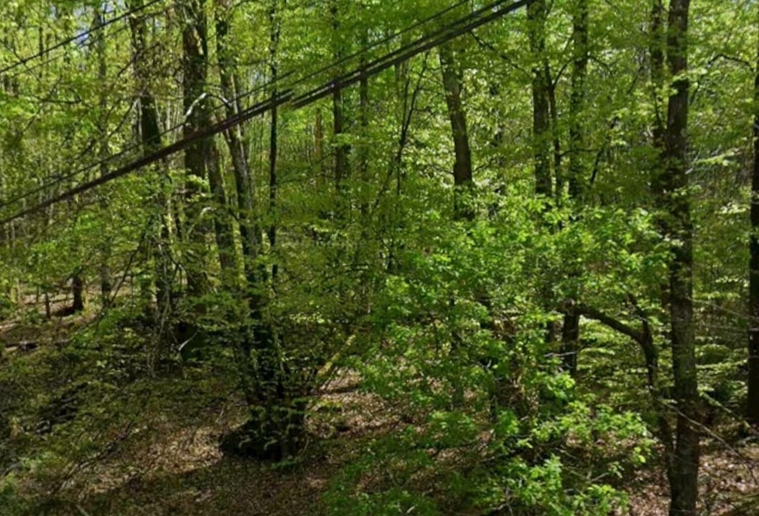 Vente Terrain 4 600 m&sup2; — photo 1