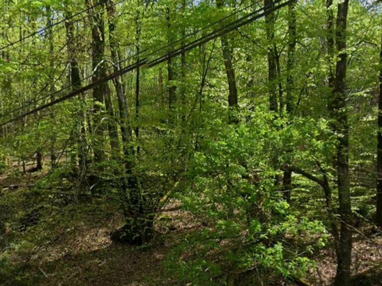 Vente Terrain 4 600 m&sup2; — photo 1