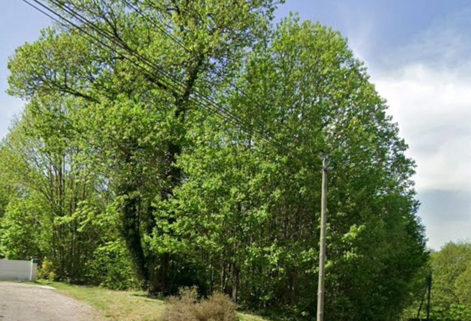 Vente Terrain 4 817 m&sup2; — photo 1