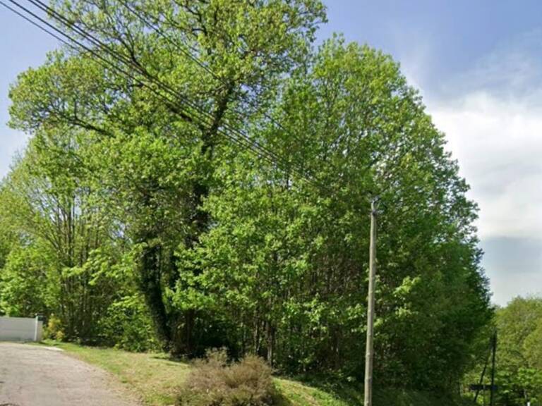 Vente Terrain 4 817 m&sup2; — photo 1
