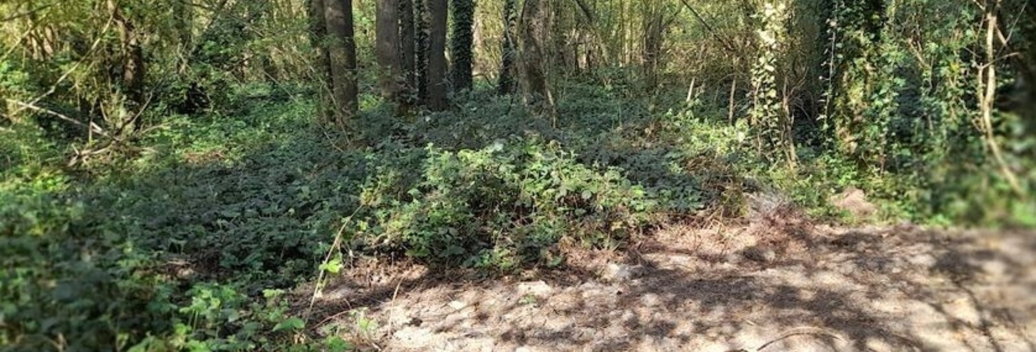 Terrain  2653 m² à vendre à Warluis (60430)