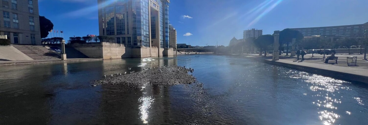 Appartement 4 Pièces 98 m² à vendre à Montpellier (34000)