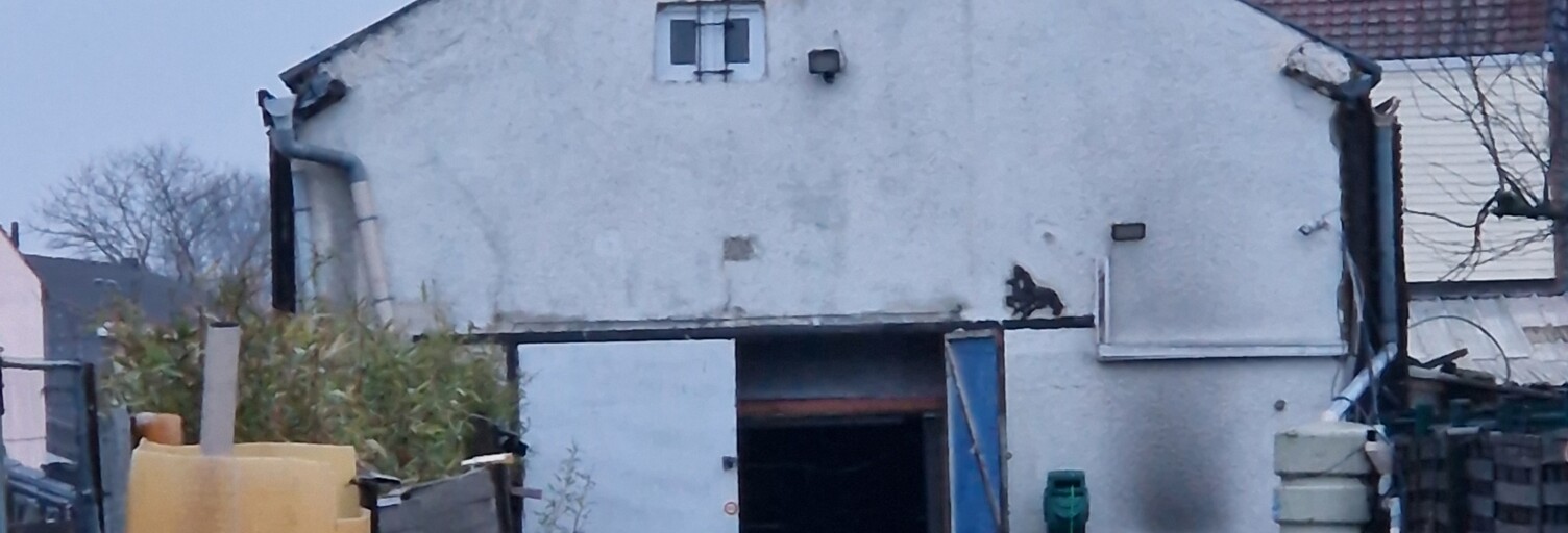 Terrain  1000 m² à vendre à Dunkerque (59430)