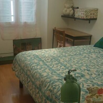 Appartement 1 pièces 350 €