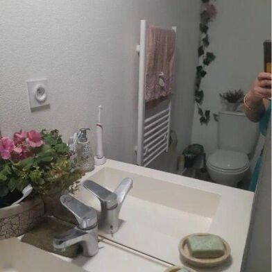 Appartement 3 pièces 875 €