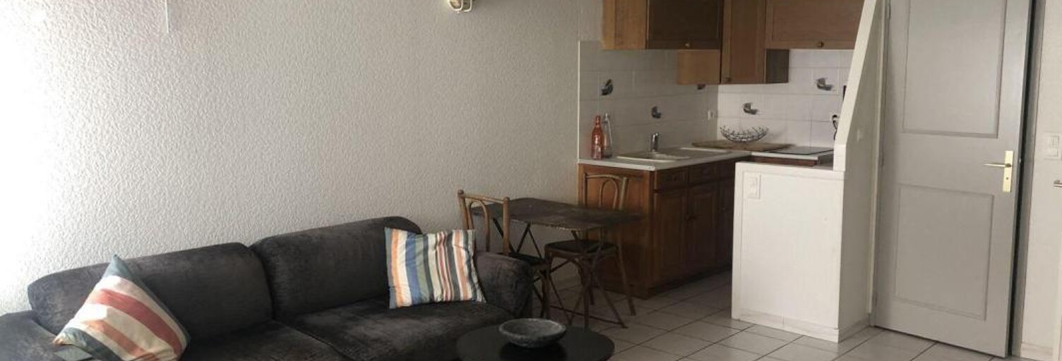 Appartement 1 Pièce 27 m² à louer à Lyon 1 (69001)