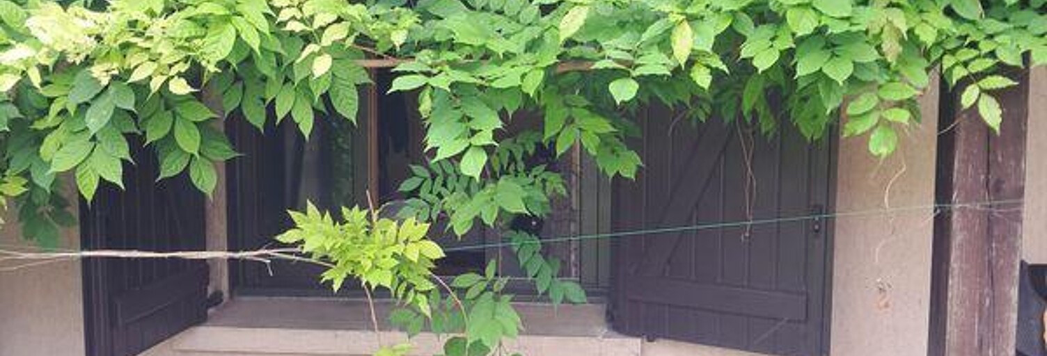 Appartement 1 Pièce 20 m² à louer à Villejuif (94800)