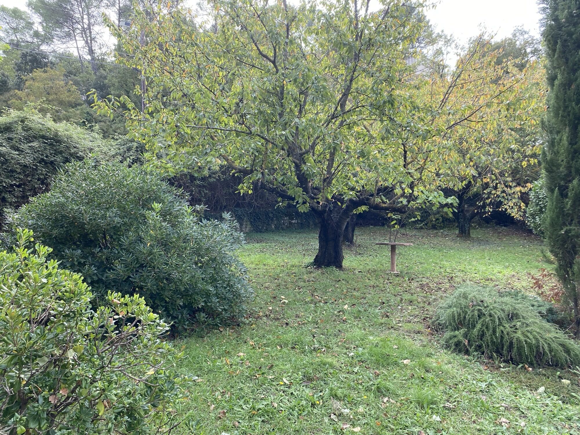 Terrain  à vendre Tourves 83170