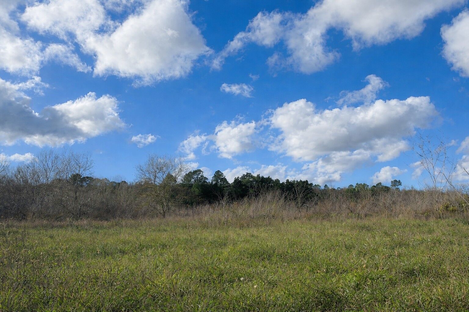 Terrain  à vendre Tourves 83170