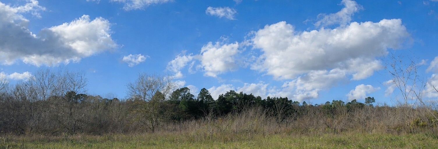 Terrain 574 m² à construire Tourves (83170)