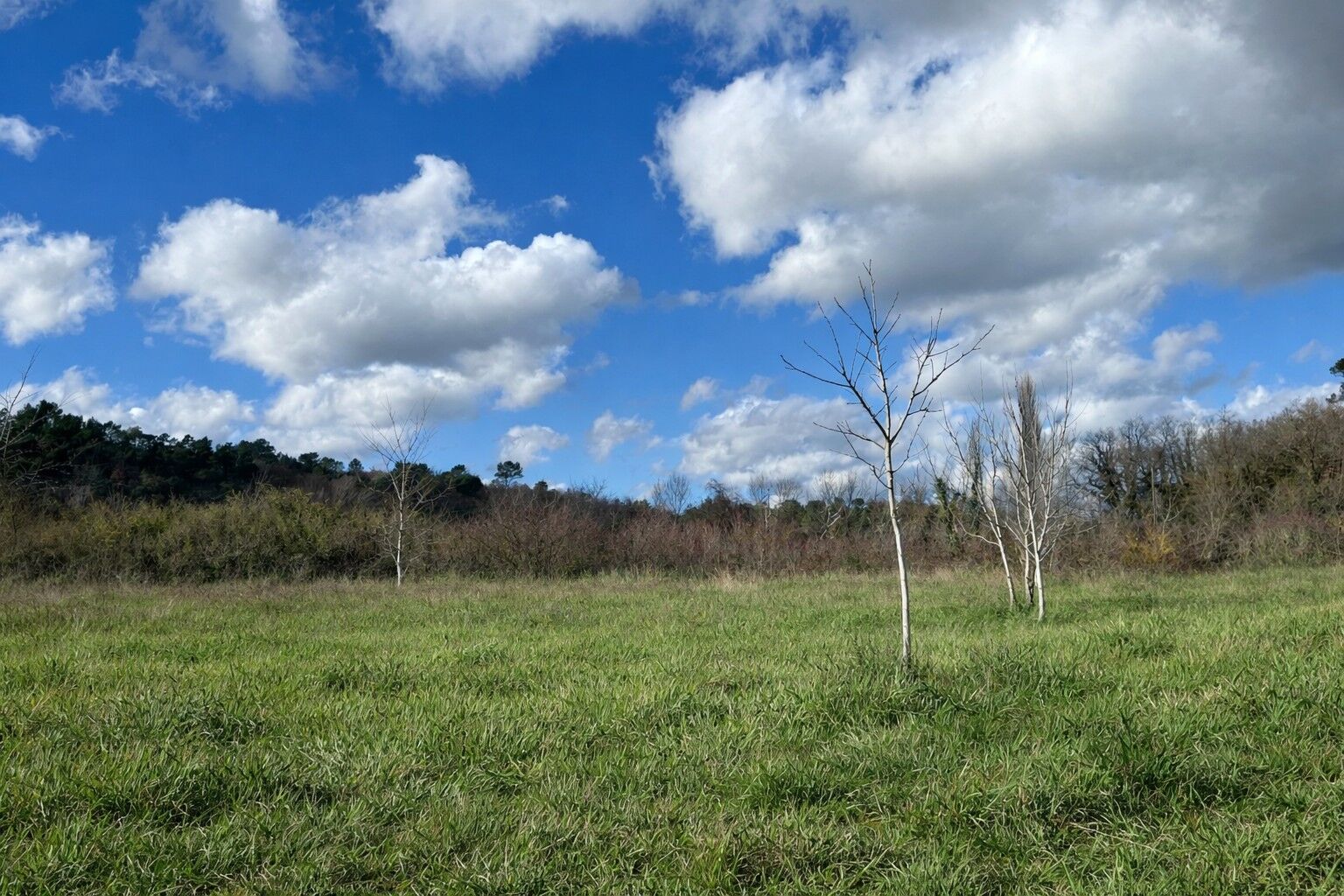 Terrain  à vendre Saint-Maximin-la-Sainte-Baume 83470