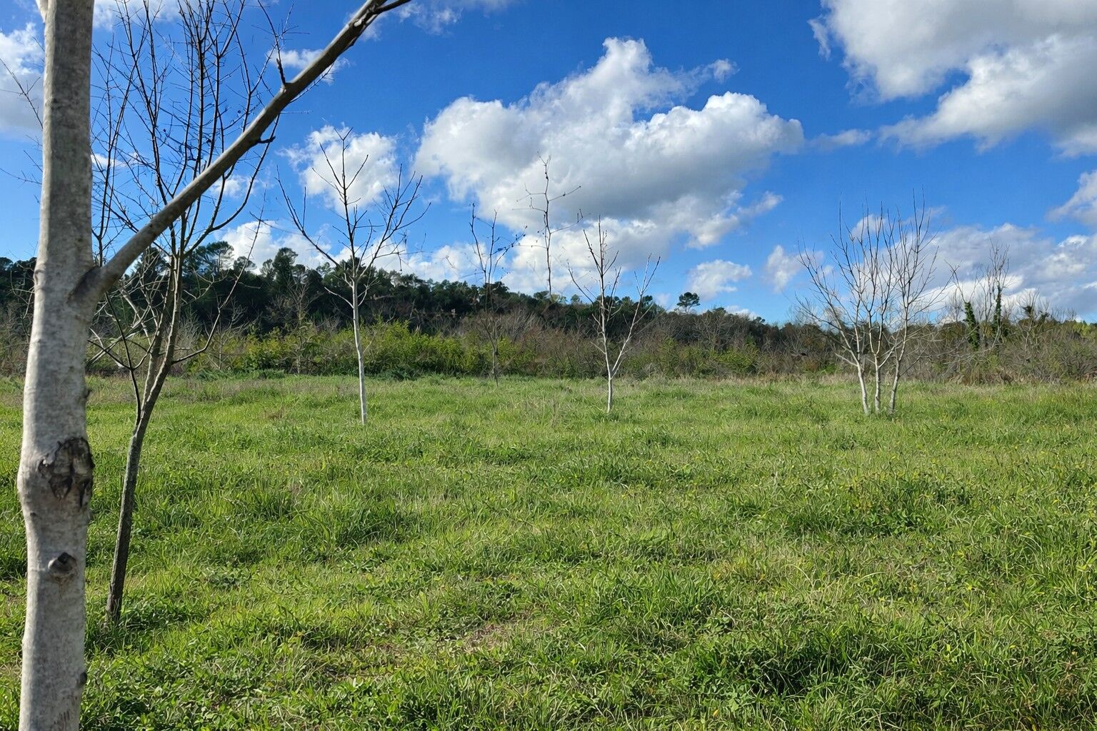 Terrain  à vendre Tourves 83170