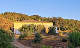 Maison 7 Pièces 170 m² à vendre à San-Nicolao (20230)