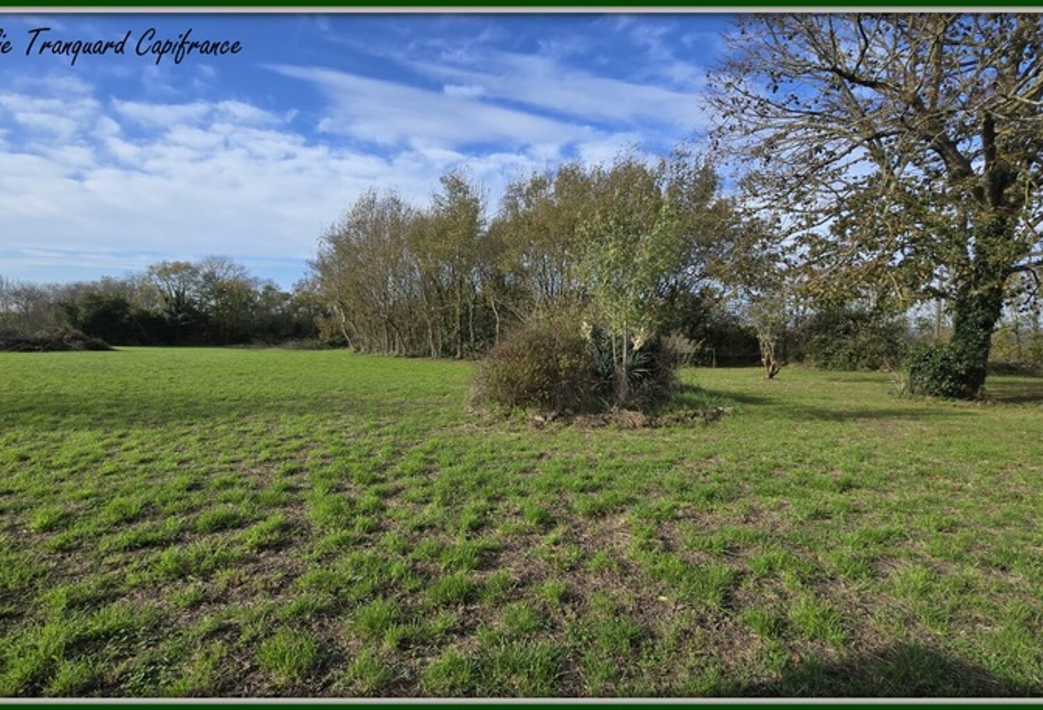 Terrain  3743 m² à vendre proche Saint jean d'Angély et proximité Surgères — photo 1