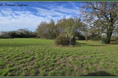 Terrain  40000 €