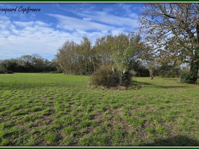 Terrain  3743 m² à vendre proche Saint jean d'Angély et proximité Surgères — photo du bien