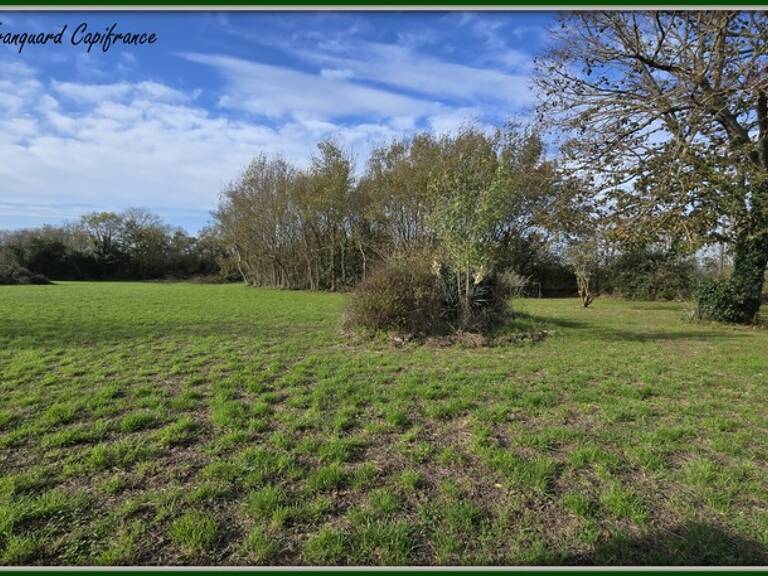 Terrain  3743 m² à vendre proche Saint jean d'Angély et proximité Surgères — photo 1