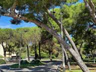 70 m2 de standing / 2 chambres / mer & port, plage à 2 minut — photo 3