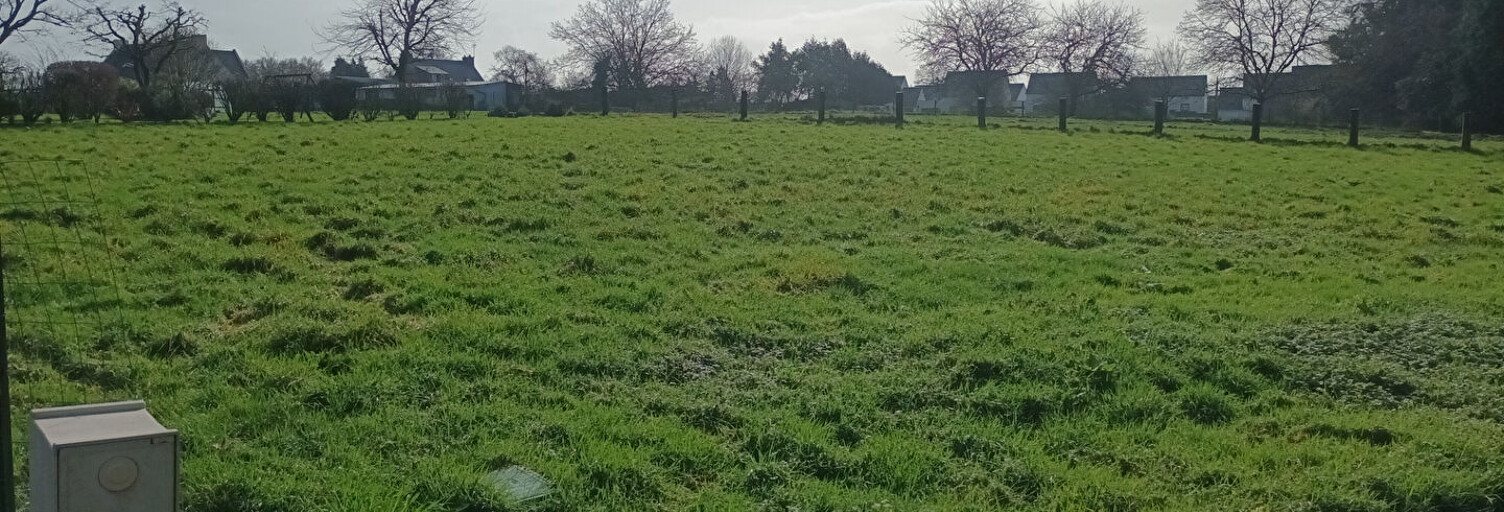 Terrain  1684 m² à vendre à Questembert (56230)