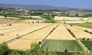 Terrain  654 m² à vendre à Cazouls-lès-Béziers (34370)