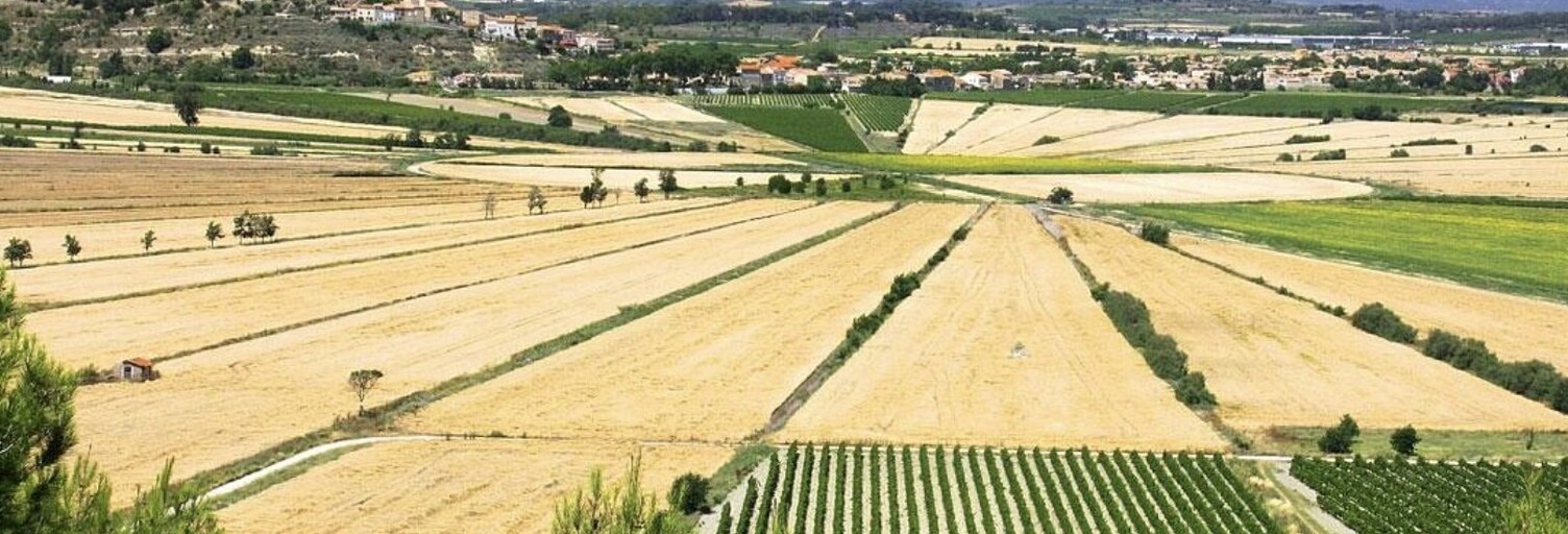 Terrain  654 m² à vendre à Cazouls-lès-Béziers (34370)