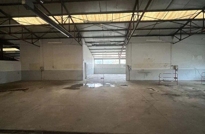 Local commercial — photo 4