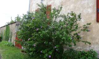 Maison 6 Pièces 100 m² à vendre à Sampigny-lès-Maranges (71150)