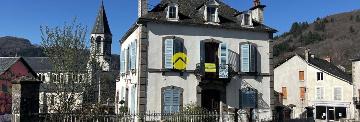 Maison 9 Pièces 300 m² à vendre à Condat (15190)