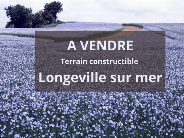 Parcelle de terrain constrcutible Longeville sur mer — photo du bien