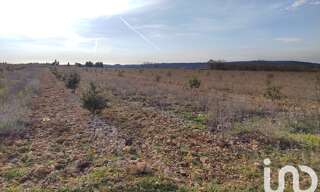 Terrain  4952 m² à vendre à Sainte-Cécile-les-Vignes (84290)
