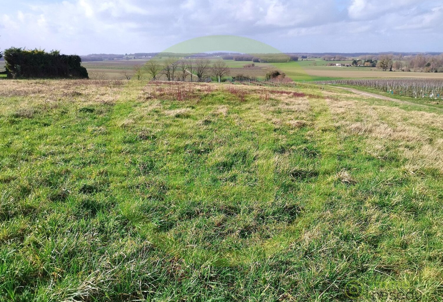 Terrain — photo 1