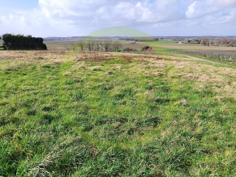 Terrain — photo 1