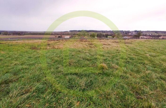 Terrain — photo 2
