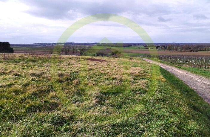 Terrain — photo 3