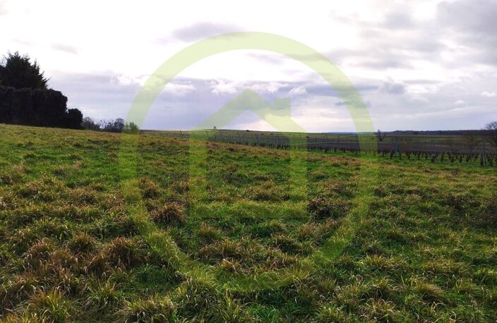 Terrain — photo 4