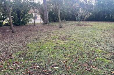 Terrain  118050 €