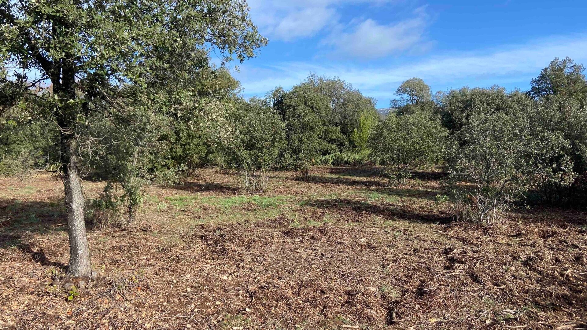 Agence immobilière de Luxorimmobilier