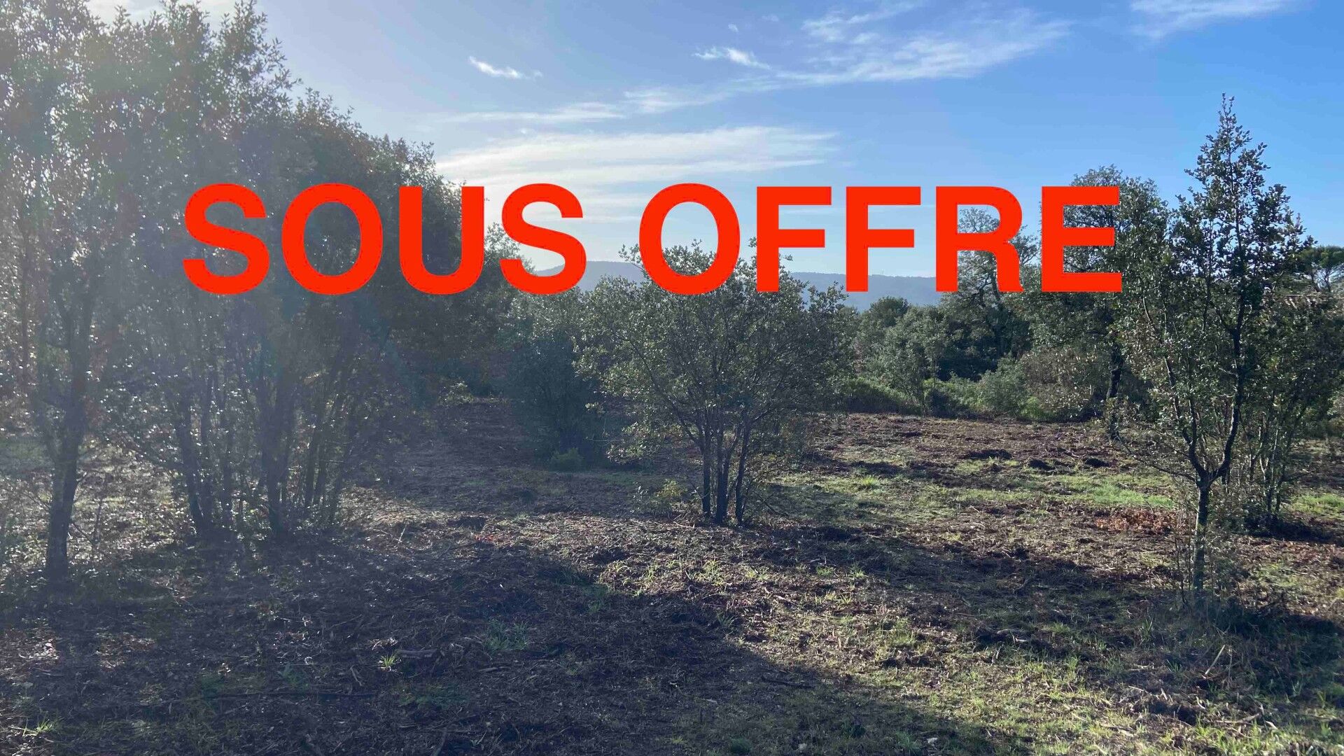 Agence immobilière de Luxorimmobilier