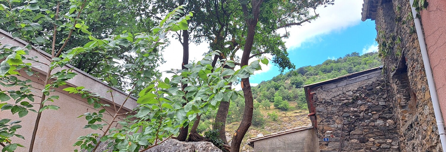 Maison 14 Pièces 309 m² à vendre à Axat (11140)