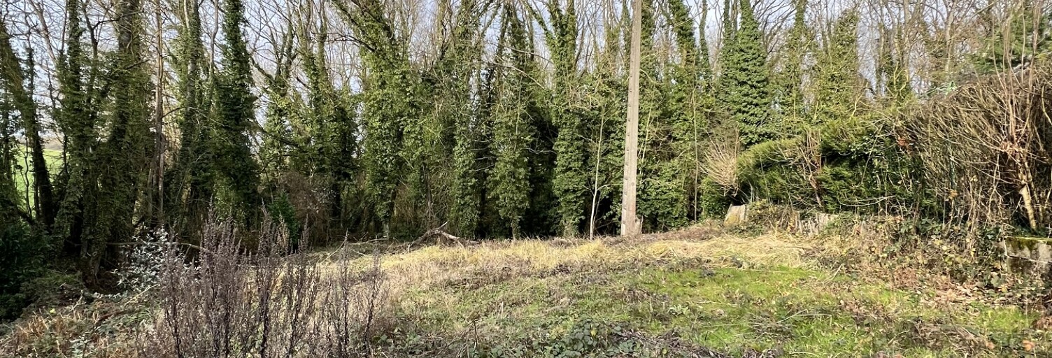 Terrain  557 m² à vendre à Villemareuil (77470)