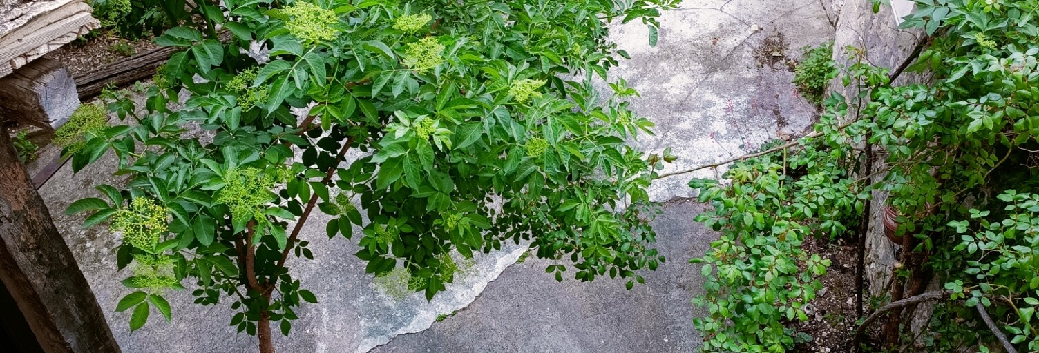 Photo N° 2