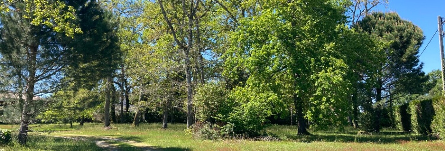 Terrain  1000 m² à vendre à Podensac (33720)