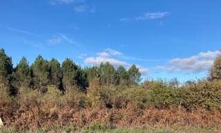 Terrain  860 m² à vendre à Balizac (33730)