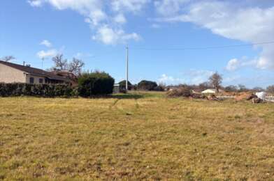 Terrain  58000 €