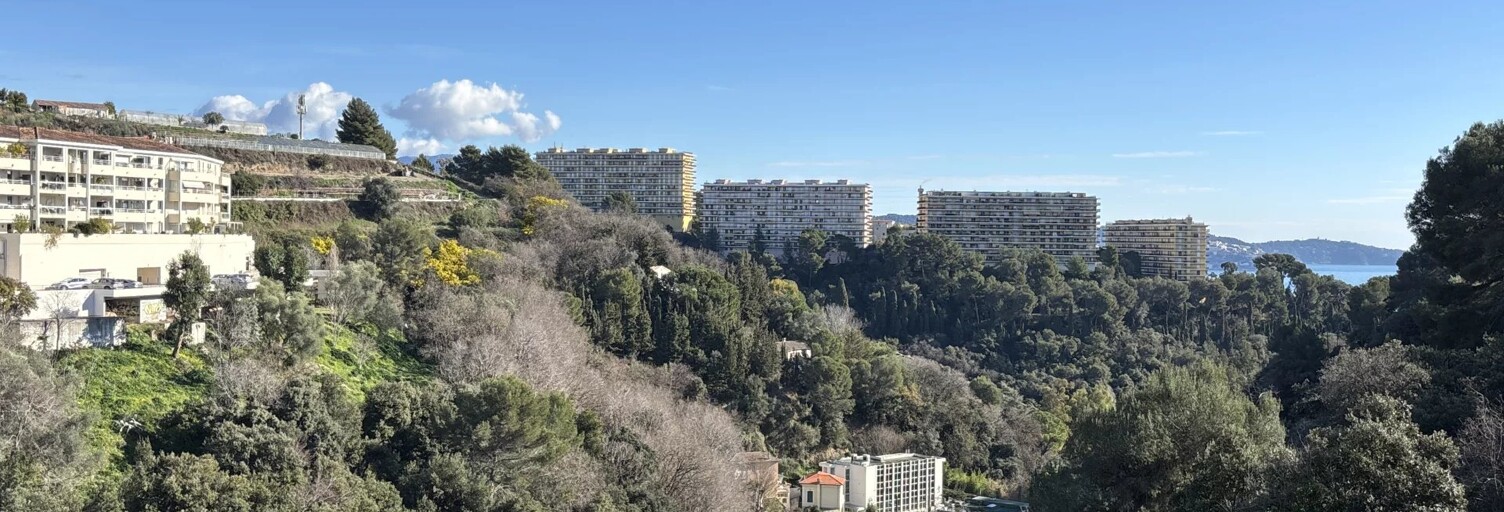 Appartement 2 Pièces 29 m² à vendre à Nice (06200)